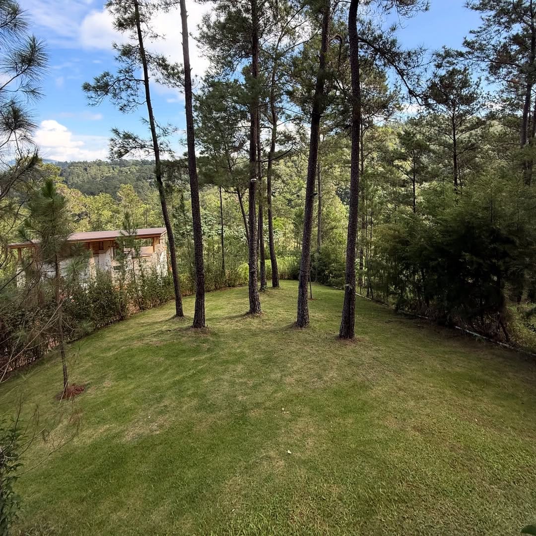 SnapInsta.to_583232513_18537829156050491_4910156231587078423_n