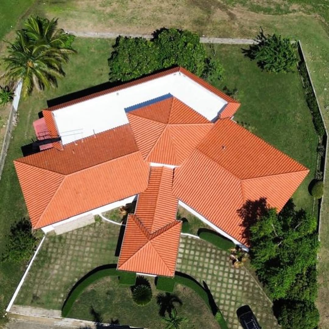 SnapInsta.to_584009753_18537824302050491_8975152333591910725_n