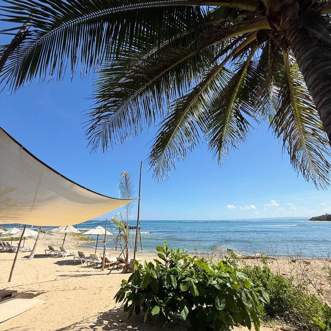 SnapInsta.to_584369499_18537966445050491_8742494470562346764_n