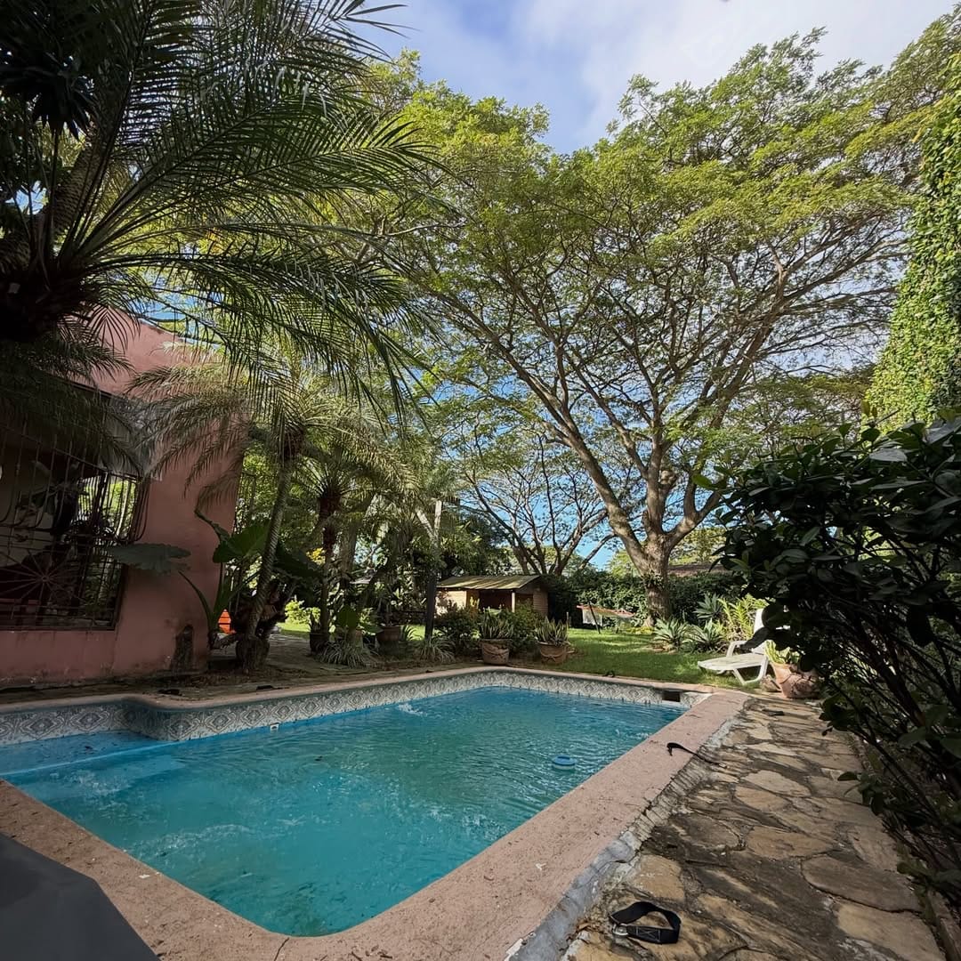 SnapInsta.to_613710181_18547629244050491_9078341617176633094_n