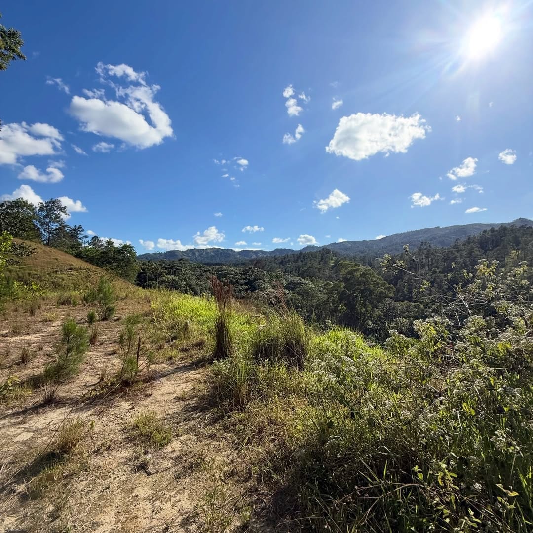 SnapInsta.to_615004258_18547658869050491_1193454330448808420_n