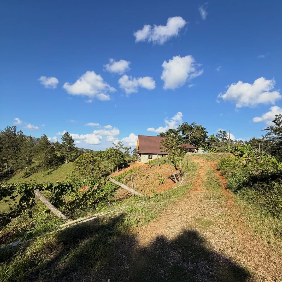 SnapInsta.to_615340349_18547658569050491_2096377959721219760_n