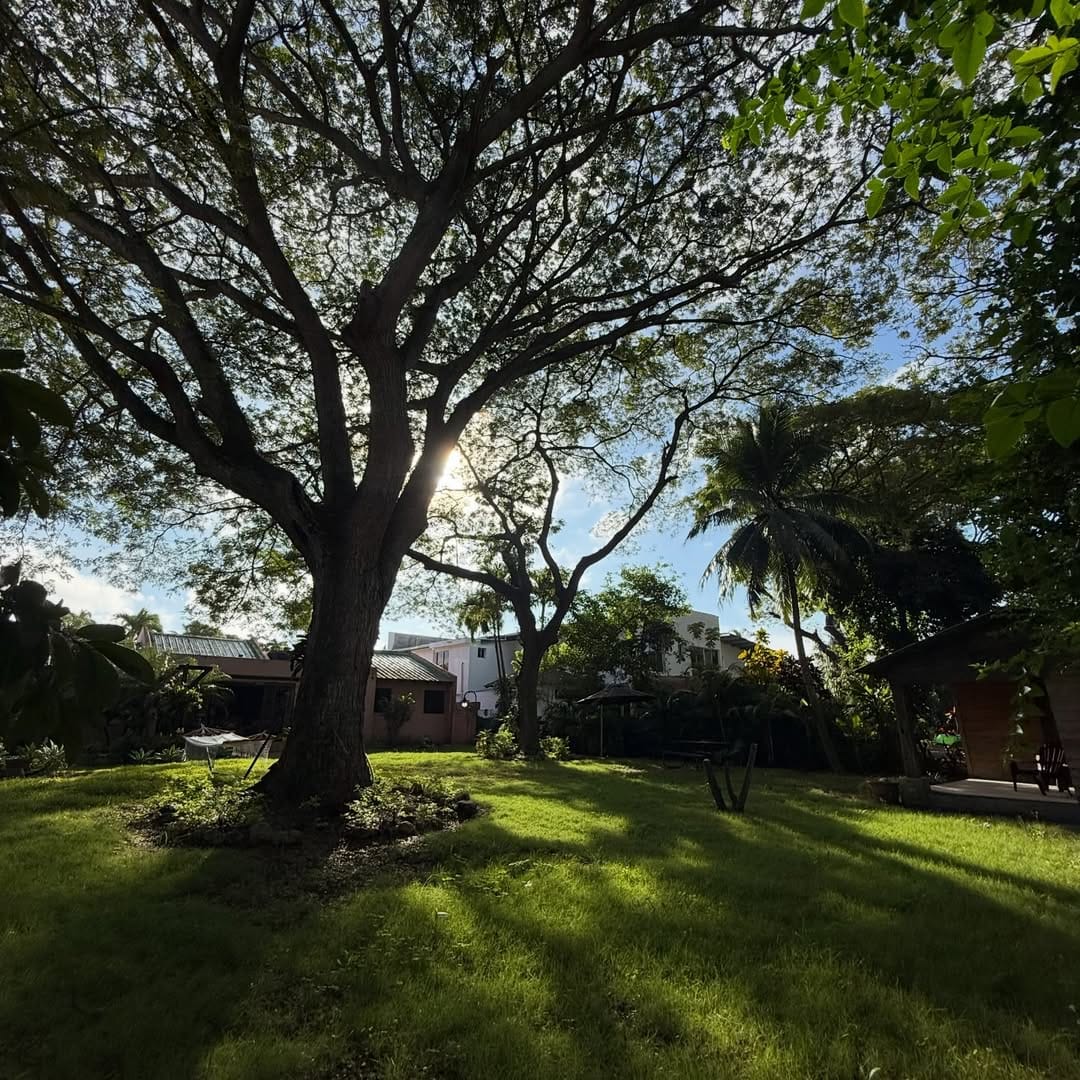 SnapInsta.to_616558971_18547629253050491_1018464187684584010_n