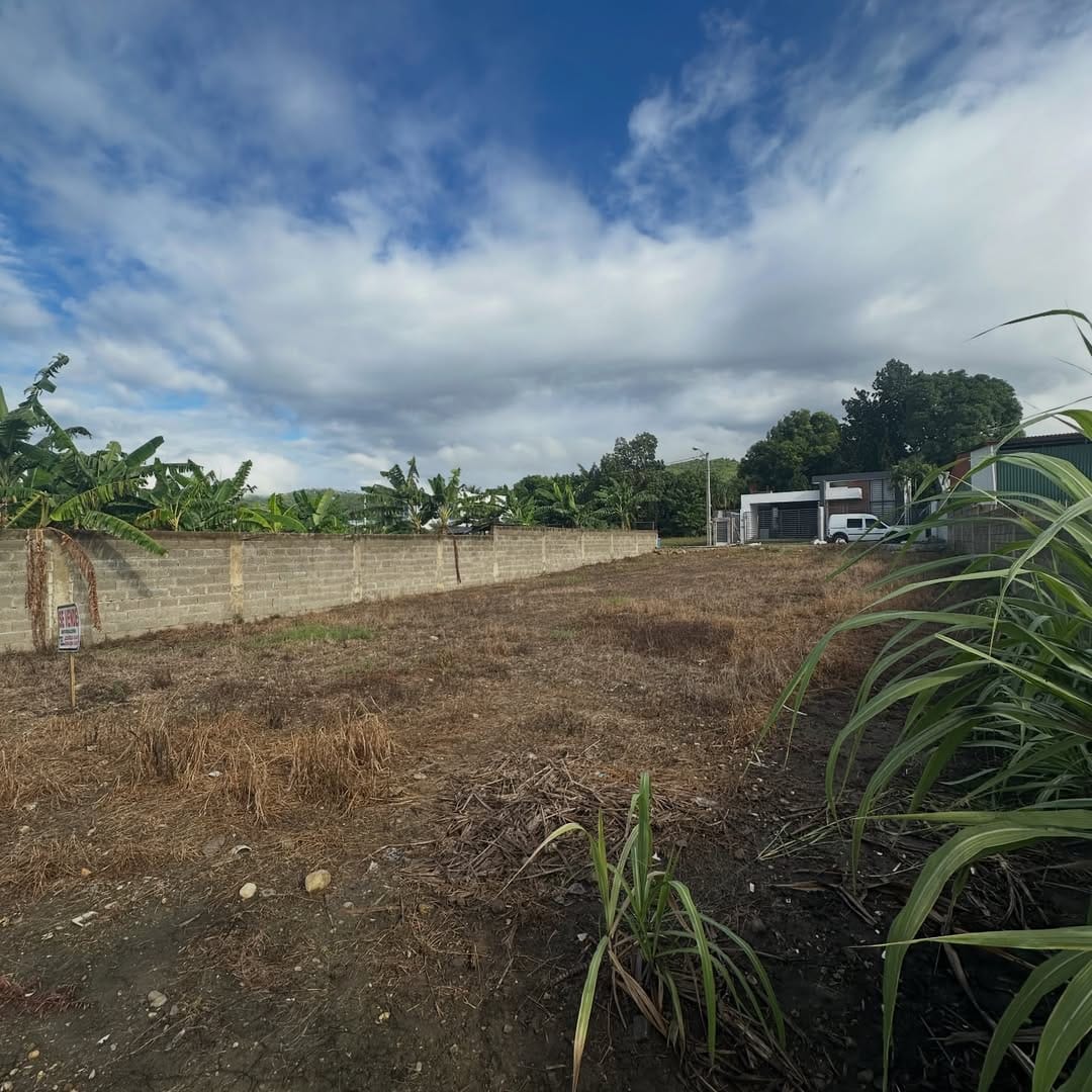 SnapInsta.to_622006934_18550579942050491_5691197654157743081_n