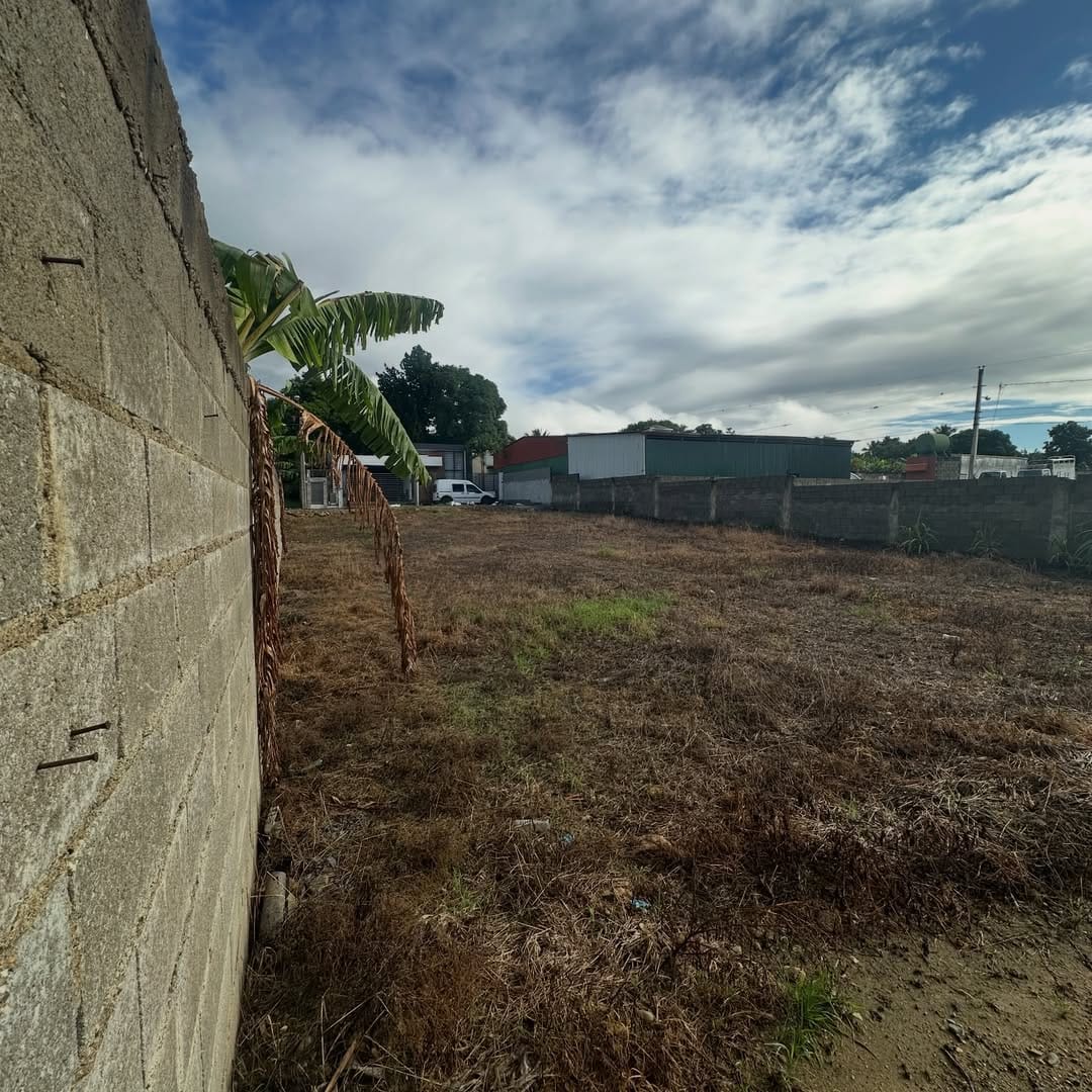 SnapInsta.to_622040868_18550579960050491_4774325912997481887_n