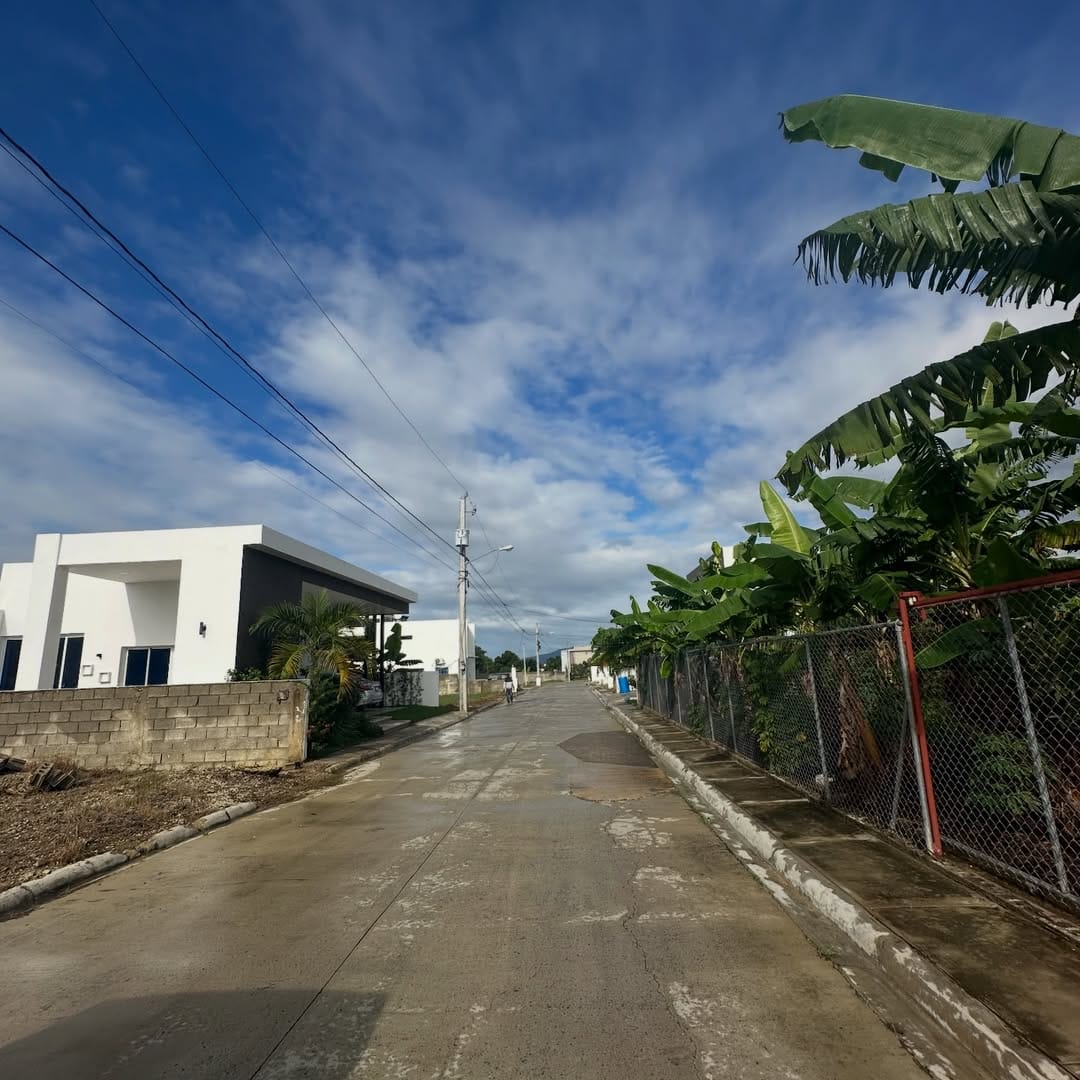 SnapInsta.to_624188898_18550579951050491_6695032682347237382_n