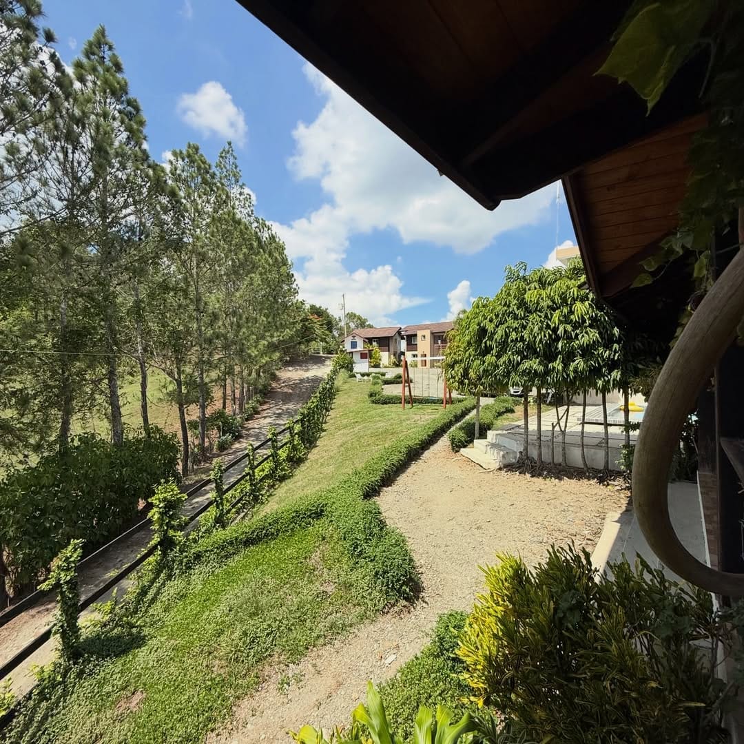 SnapInsta.to_627079969_18555859303050491_9074979183927367891_n