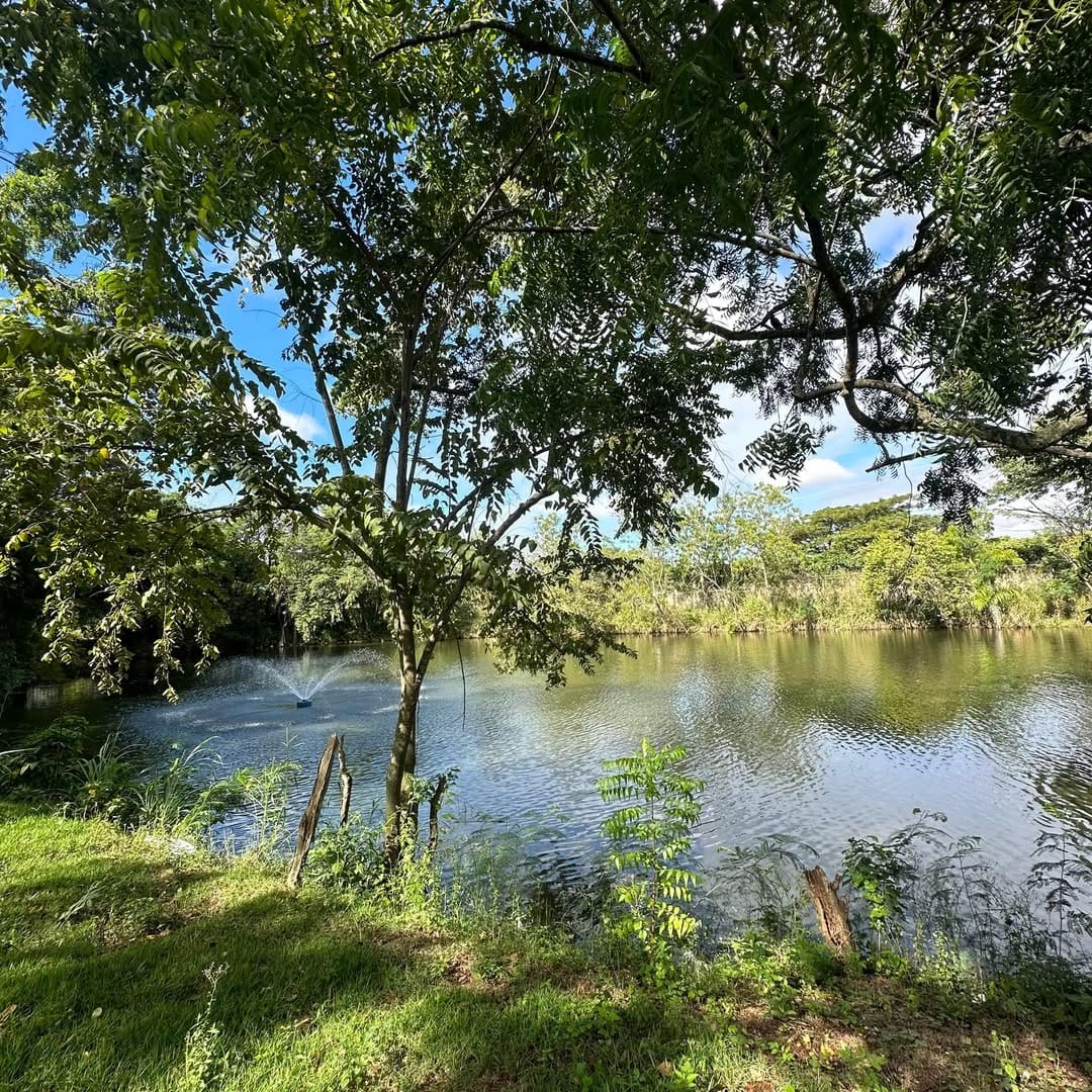 SnapInsta.to_627181085_18554639269050491_3569536195940276477_n