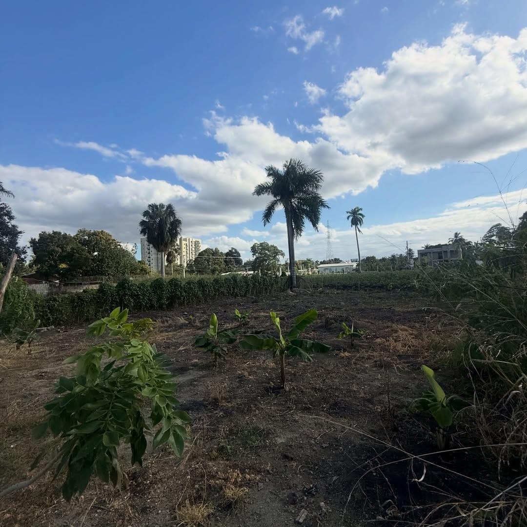 SnapInsta.to_627647096_18556244215050491_5148374624899251487_n