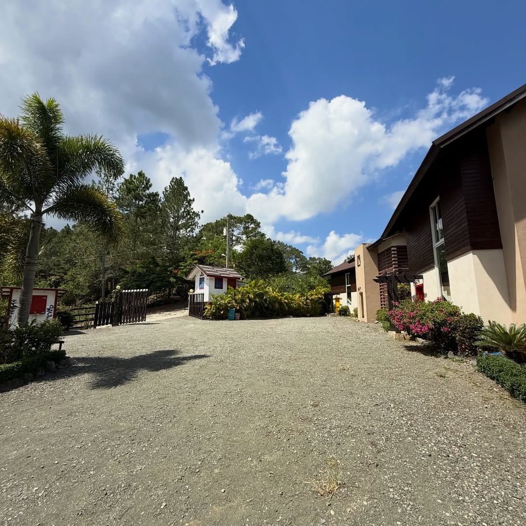 SnapInsta.to_629005238_18555859330050491_4284535033472087560_n