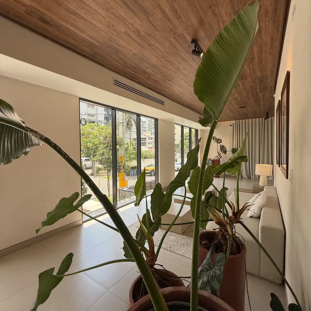 SnapInsta.to_641832601_18562096066050491_1250787576761256677_n