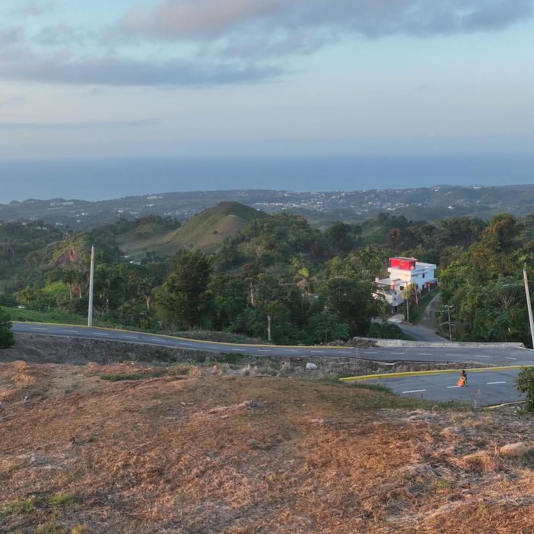 SnapInsta.to_653928679_18568514212050491_1378548400640841005_n