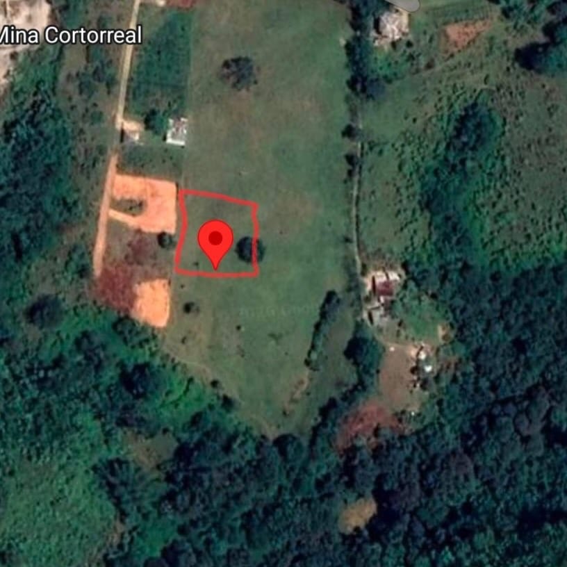 SnapInsta.to_655426121_18568514191050491_8031620166974989855_n