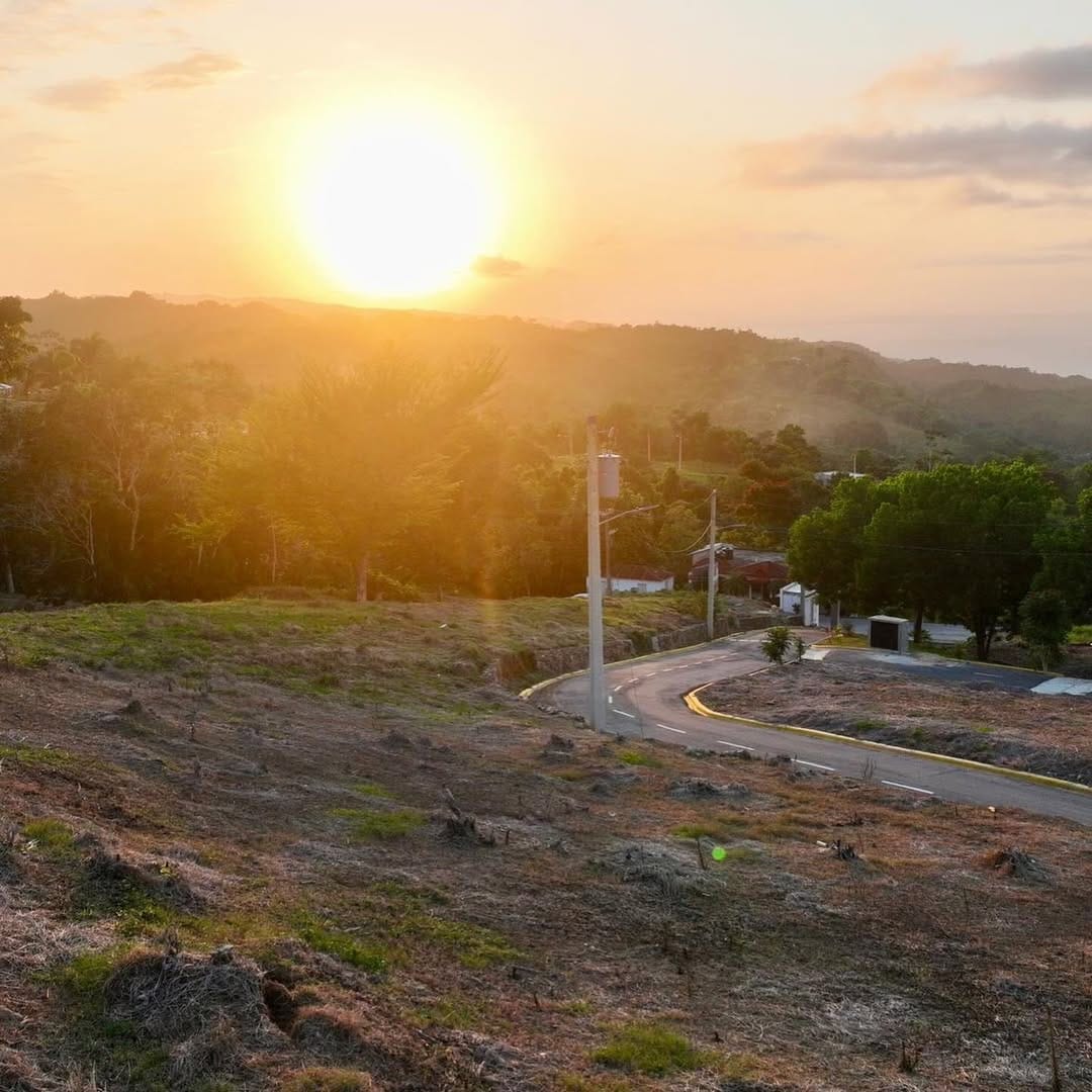 SnapInsta.to_655863655_18568514194050491_8805533410462103288_n