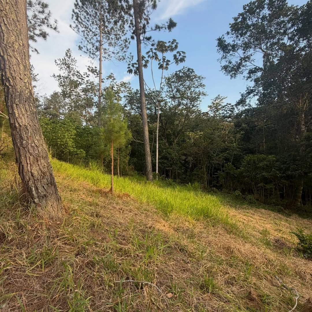 SnapInsta.to_657848792_18572086858050491_333562727068725133_n