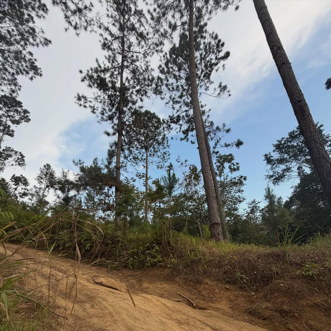 SnapInsta.to_658667944_18572086870050491_3806007417518456483_n