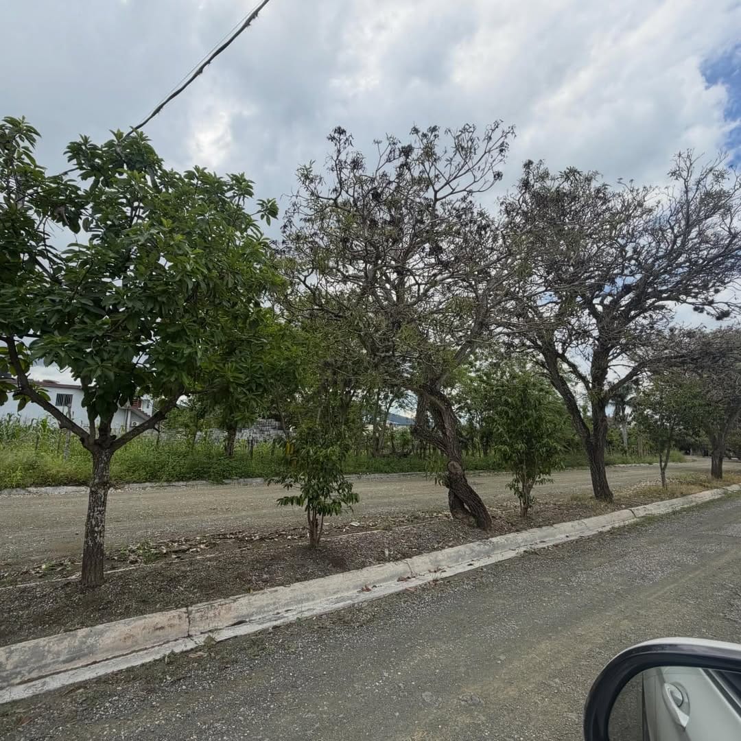SnapInsta.to_685797050_18579394150050491_3714929516425138887_n